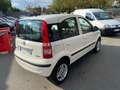 Fiat Panda 1.1 8V 54CH MALICE GPL GAZ Wit - thumbnail 3