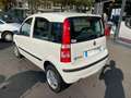Fiat Panda 1.1 8V 54CH MALICE GPL GAZ Wit - thumbnail 4