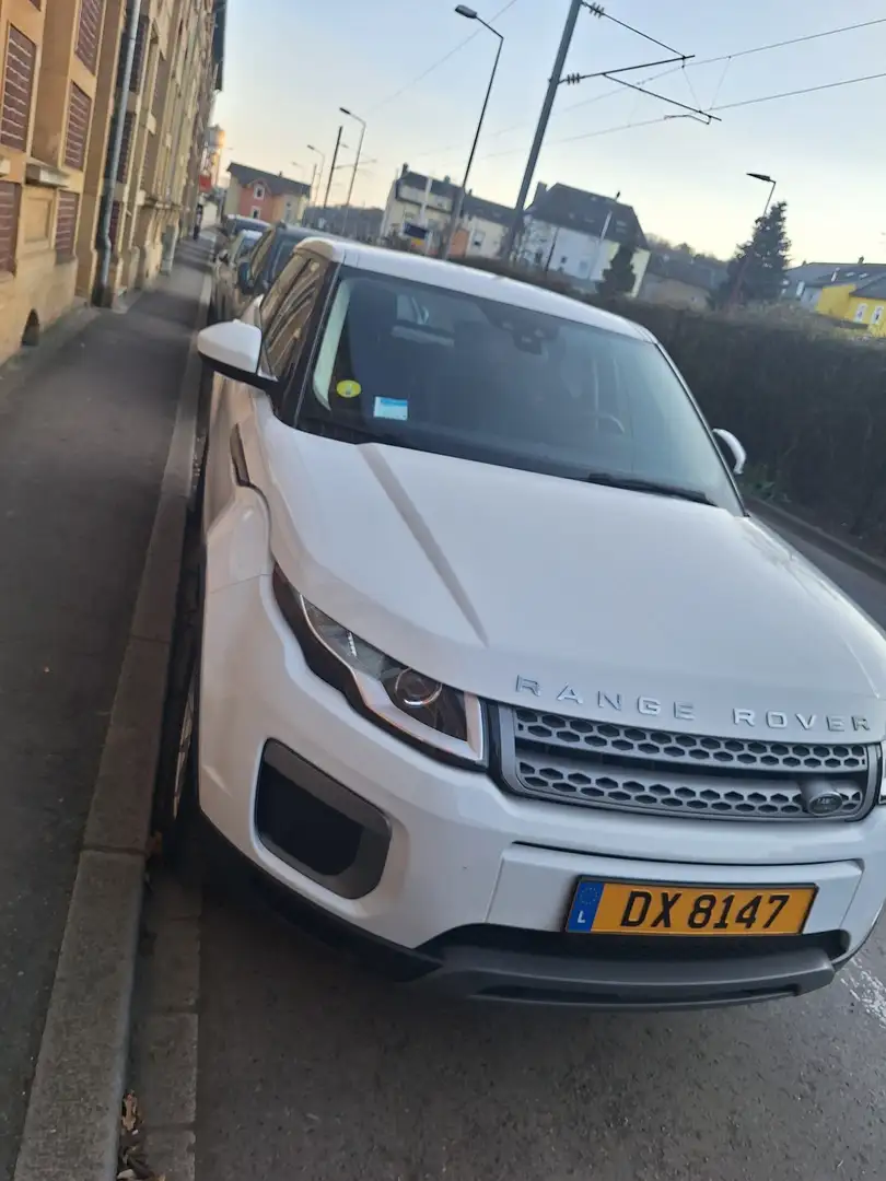 Land Rover Range Rover Evoque TD4 Aut. SE Dynamic - 1