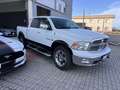 RAM 1500 CREW CAB 5.7 V8  4X4 LARAMIE GPL Bianco - thumbnail 12