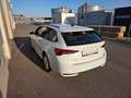 Skoda Octavia Octavia Kombi 1,5 TSI Selection Selection Weiß - thumbnail 5