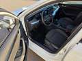 Skoda Octavia Octavia Kombi 1,5 TSI Selection Selection Weiß - thumbnail 9