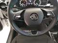 Skoda Fabia 1.0 TSI EVO DSG 110 CV Style Bianco - thumbnail 11