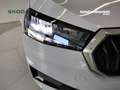 Skoda Fabia 1.0 TSI EVO DSG 110 CV Style Bianco - thumbnail 8
