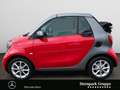 smart forTwo fortwo cabrio passion 66kW twinamic SHZ*LED* Klima Red - thumbnail 2