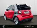 smart forTwo fortwo cabrio passion 66kW twinamic SHZ*LED* Klima Red - thumbnail 3
