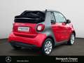 smart forTwo fortwo cabrio passion 66kW twinamic SHZ*LED* Klima Red - thumbnail 5