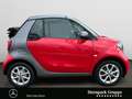 smart forTwo fortwo cabrio passion 66kW twinamic SHZ*LED* Klima Red - thumbnail 6