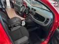 Fiat Panda 1.2 Lounge Rosso - thumbnail 13