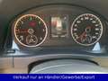 Volkswagen Tiguan Lounge Sport & Style BMT 4Motion Blau - thumbnail 10
