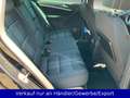Volkswagen Tiguan Lounge Sport & Style BMT 4Motion Blau - thumbnail 12