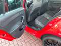 Skoda Fabia Style aus 2.Hand für EXOPRT o.Gewerbe Roşu - thumbnail 10
