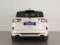 Ford Kuga 2.5 Duratec PHEV ST-Line 4x2 Blanco - thumbnail 5