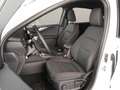 Ford Kuga 2.5 Duratec PHEV ST-Line 4x2 Blanco - thumbnail 11