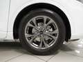Ford Kuga 2.5 Duratec PHEV ST-Line 4x2 Blanco - thumbnail 15