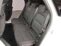 Ford Kuga 2.5 Duratec PHEV ST-Line 4x2 Blanco - thumbnail 13