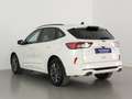 Ford Kuga 2.5 Duratec PHEV ST-Line 4x2 Blanco - thumbnail 7