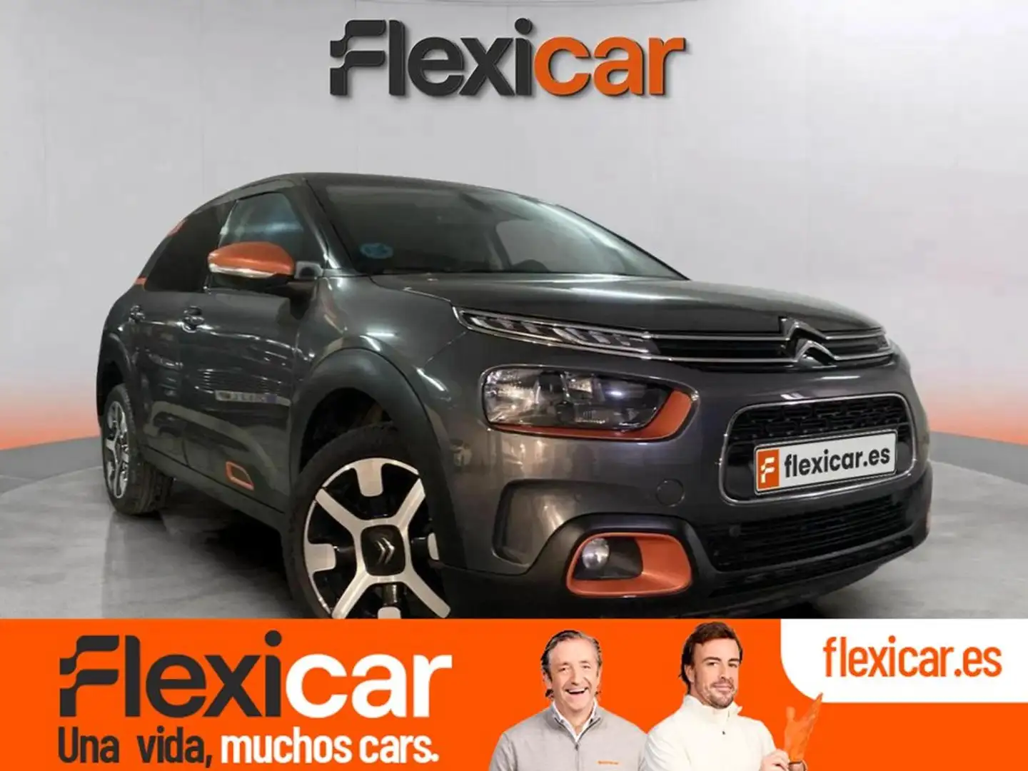 Citroen C4 Cactus BlueHDi 100 S&S Shine Gris - 1
