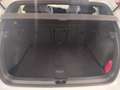 Volkswagen Golf VIII 2.0 TSI DSG 4Motion R Navi LEDPlus DAB Weiß - thumbnail 6