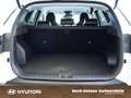 Hyundai TUCSON FL HEV TREND Wit - thumbnail 13