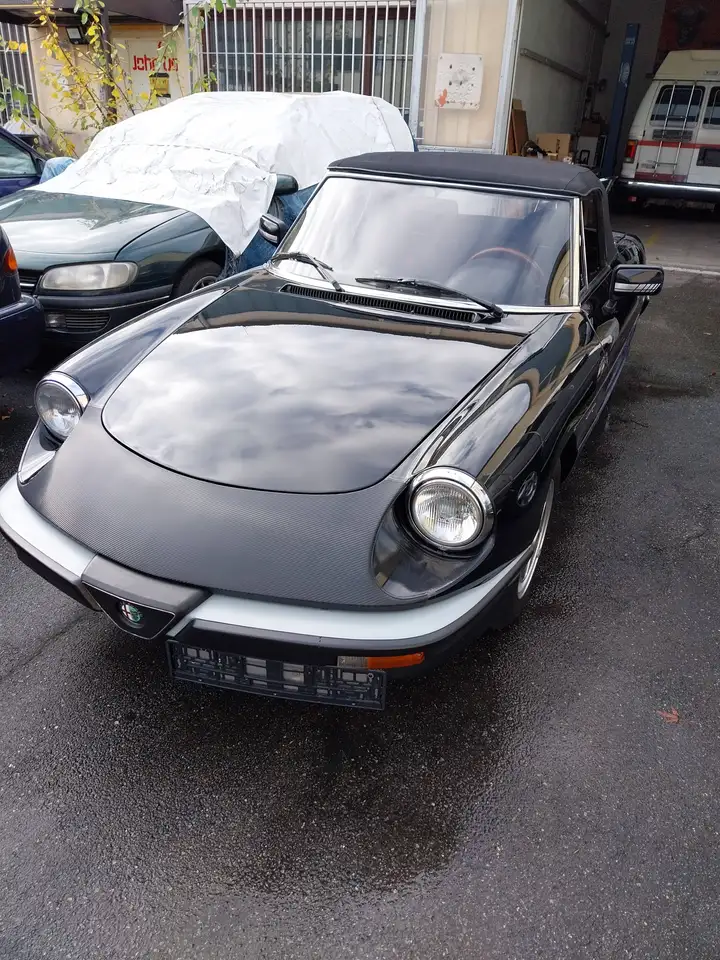 Alfa Romeo Spider