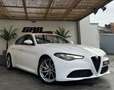 Alfa Romeo Giulia Alfa Romeo Giulia - thumbnail 6