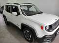 Jeep Renegade Renegade 1.6 mjt Business fwd 105cv Bianco - thumbnail 3