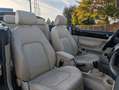 Volkswagen New Beetle Cabriolet 1.9 TDI*LEDER*KLIMA*PDC !! Schwarz - thumbnail 14