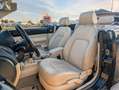 Volkswagen New Beetle Cabriolet 1.9 TDI*LEDER*KLIMA*PDC !! Schwarz - thumbnail 10