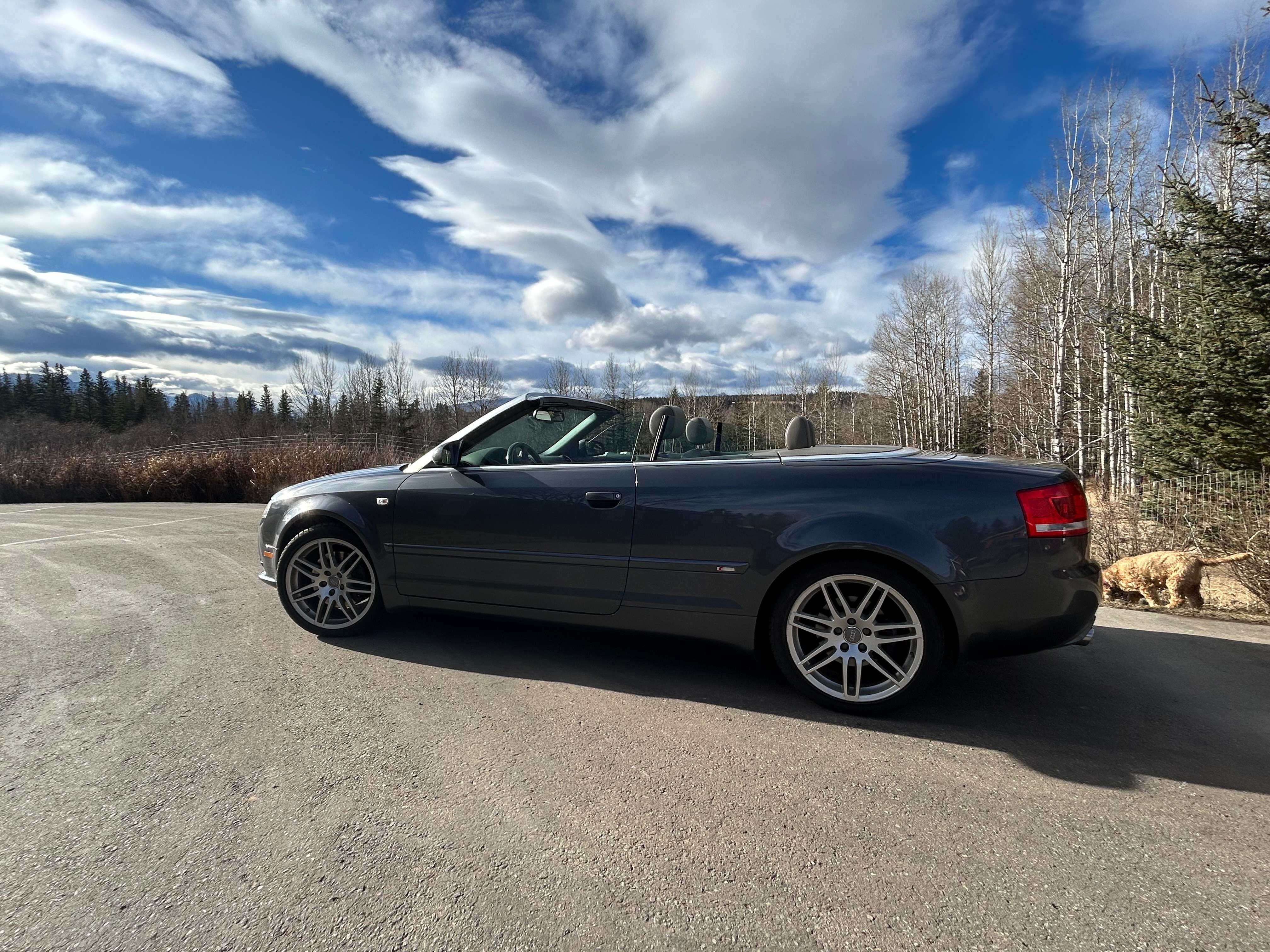 2009 Audi A4 2L turbo