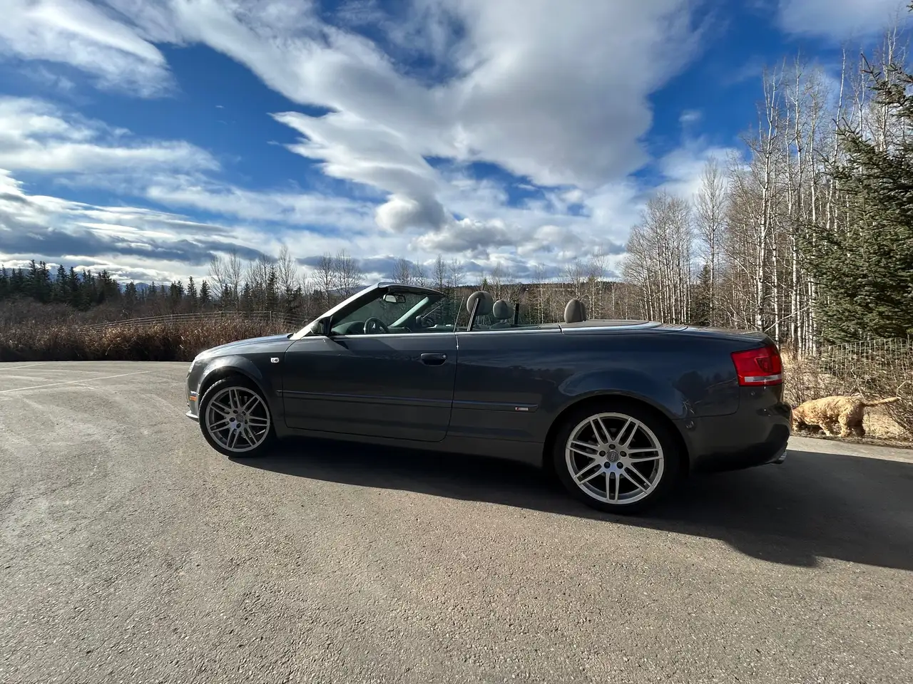 2009 Audi A4