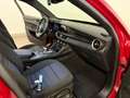 Alfa Romeo Stelvio Stelvio 2.2 Turbodiesel 160 CV AT8 RWD Super Rood - thumbnail 12