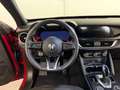 Alfa Romeo Stelvio Stelvio 2.2 Turbodiesel 160 CV AT8 RWD Super Rood - thumbnail 15