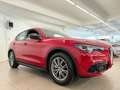 Alfa Romeo Stelvio Stelvio 2.2 Turbodiesel 160 CV AT8 RWD Super Rood - thumbnail 2