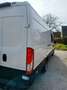 Iveco Daily MULTICAB 35C15 (18.000 exclusief btw) Weiß - thumbnail 11