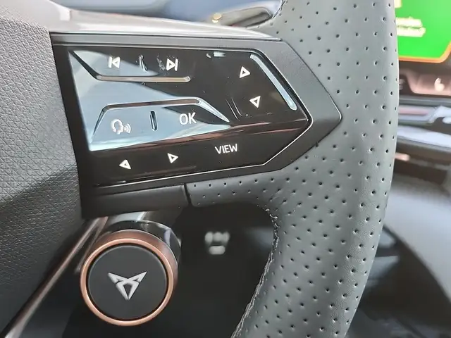 Cupra Tavascan view 15