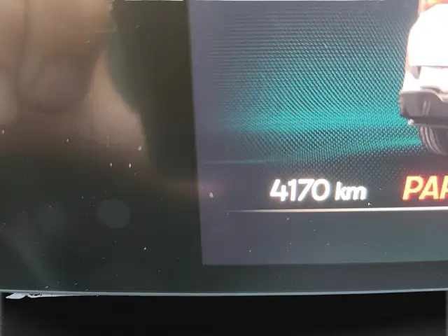 Cupra Tavascan view 11