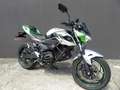 Kawasaki Silber - thumbnail 2