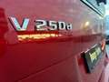 Mercedes-Benz V 250 Avantgarde lang Distr.*AHK2,5t*el.Türen*BT Rouge - thumbnail 26
