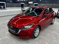 Mazda 2 Mazda2 G75 Takumi*1.Besitz*Top-Ausstattung* Rot - thumbnail 2