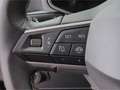 SEAT Arona Style 1.0TSI*DSG LED digCockp Tempo Blueto Grau - thumbnail 16