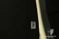 Ferrari SF90 Stradale SF90 Stradale HistoricalColour/Lift/JBL/Garantie Beige - thumbnail 31