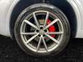 Audi Q5 40 TDI quattro **S-line** S-tronic Silber - thumbnail 14