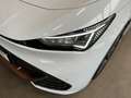 CUPRA Born 58kWh+Dinamica+BELOW-ZERO+Pilo Blanc - thumbnail 5