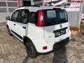 Fiat Panda City Life  Firefly Hybrid 70 51 kW (70 PS), Sch... Weiß - thumbnail 3