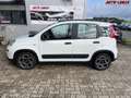 Fiat Panda City Life  Firefly Hybrid 70 51 kW (70 PS), Sch... Weiß - thumbnail 2