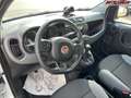 Fiat Panda City Life  Firefly Hybrid 70 51 kW (70 PS), Sch... Weiß - thumbnail 10