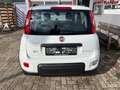 Fiat Panda City Life  Firefly Hybrid 70 51 kW (70 PS), Sch... Weiß - thumbnail 4