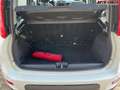 Fiat Panda City Life  Firefly Hybrid 70 51 kW (70 PS), Sch... Weiß - thumbnail 13