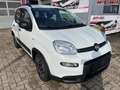 Fiat Panda City Life  Firefly Hybrid 70 51 kW (70 PS), Sch... Weiß - thumbnail 7